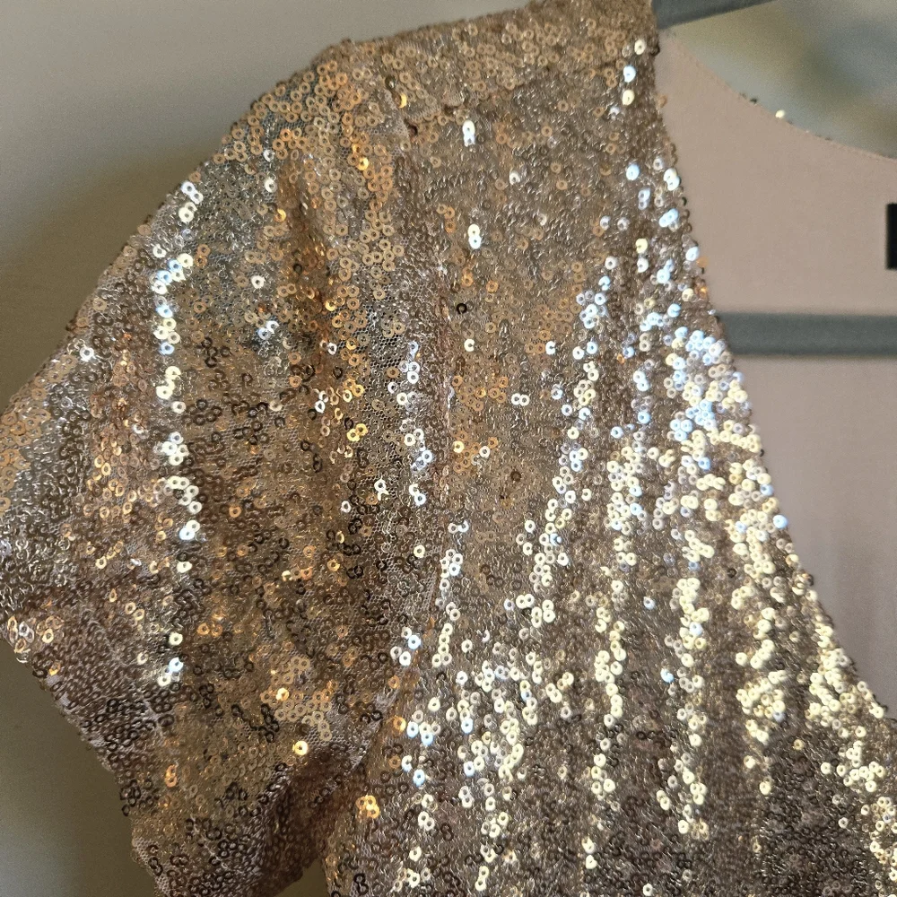 NWT! Lulus Light Up the Night Champagne Sequin Shift Dress Size S Small - Picture 6 of 8